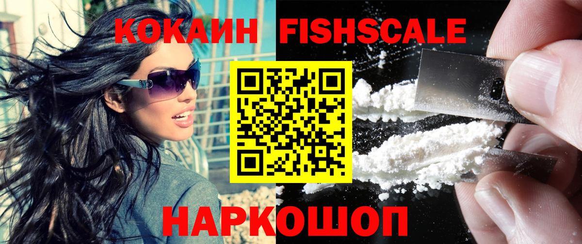 Шали  КОКАИН Fish Scale  где найти   Вход с VPN 